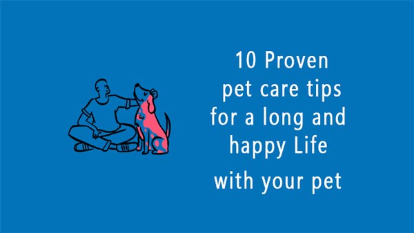 pet care tips